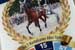 Southwind_Raptor